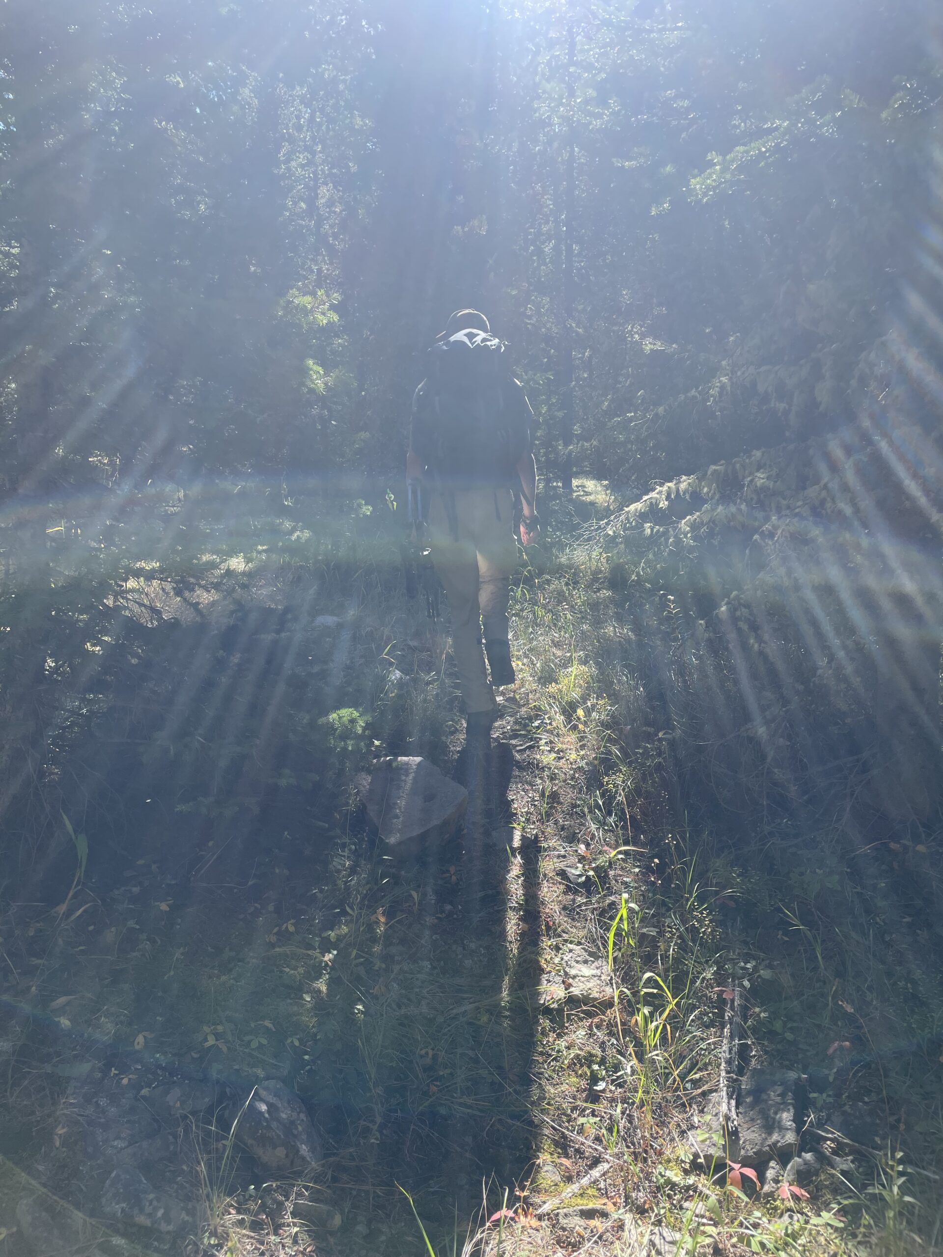 The Adventure of Life